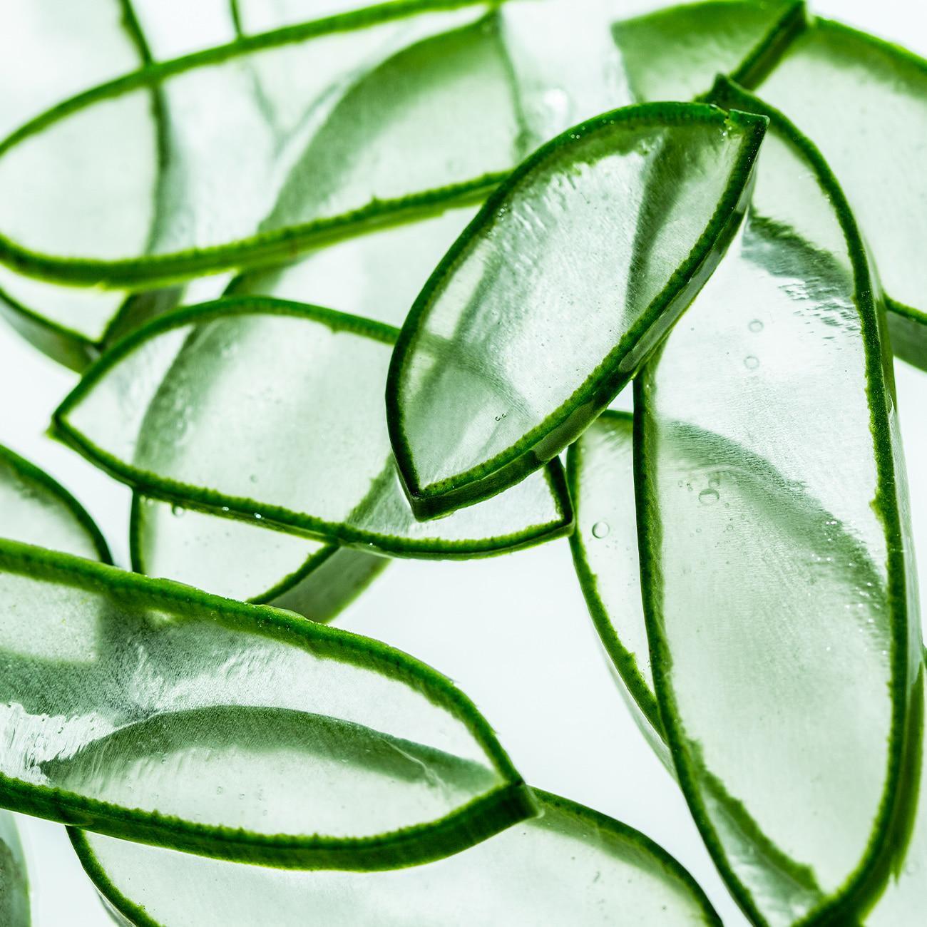 Soothing Aloe Aqua Cream