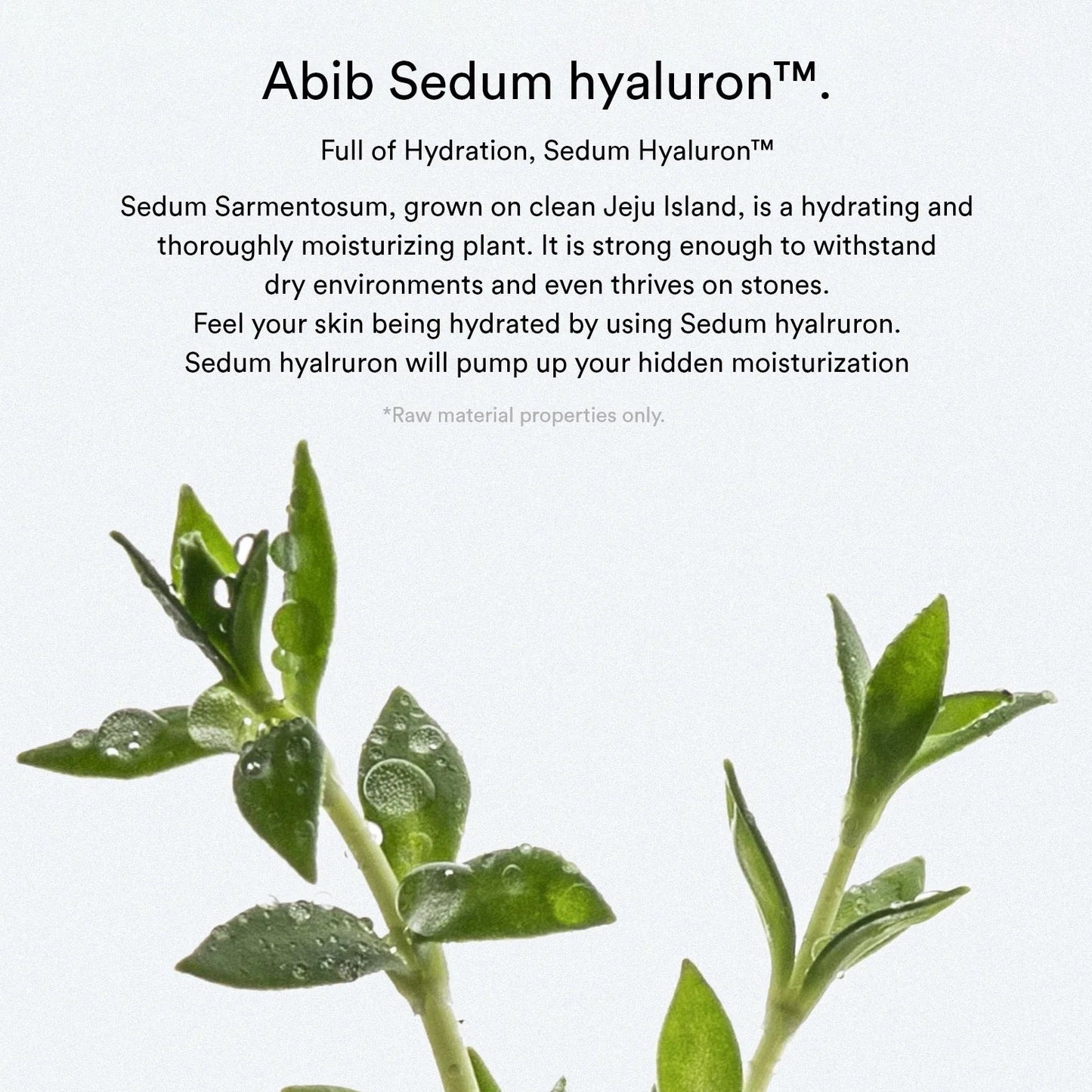 Sedum Hyaluron Pad Hydrating Touch